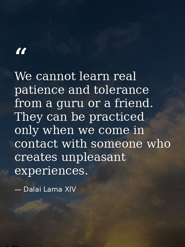 We cannot learn real patience and tolerance from a guru or a friend. They can be practiced only when we come in contact  — Dalai Lama XIV