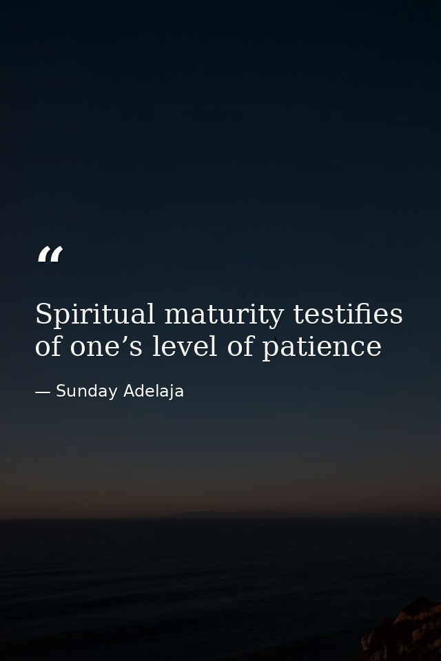 Spiritual maturity testifies of one’s level of patience — Sunday Adelaja