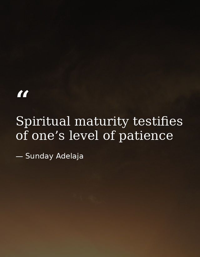 Spiritual maturity testifies of one’s level of patience — Sunday Adelaja
