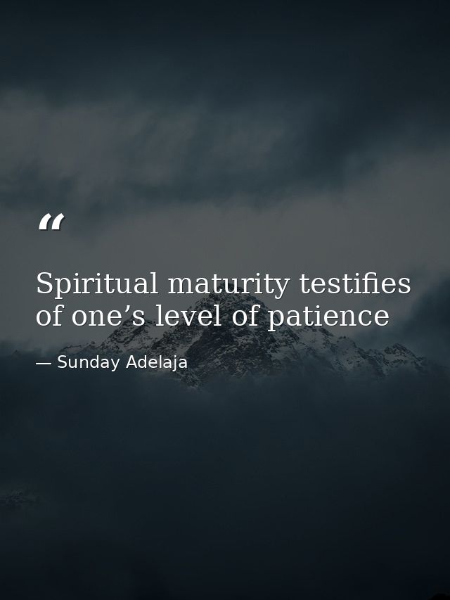 Spiritual maturity testifies of one’s level of patience — Sunday Adelaja