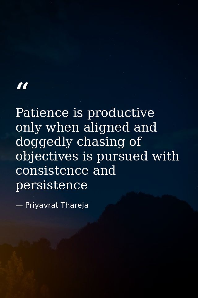 Patience is productive only when aligned and doggedly chasing of objectives is pursued with consistence and persistence — Priyavrat Thareja