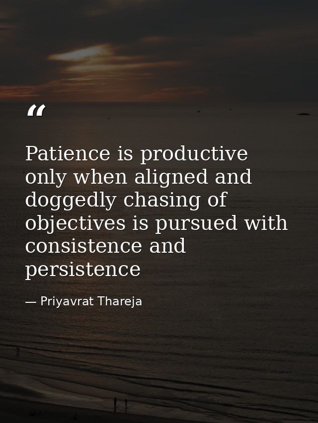 Patience is productive only when aligned and doggedly chasing of objectives is pursued with consistence and persistence — Priyavrat Thareja