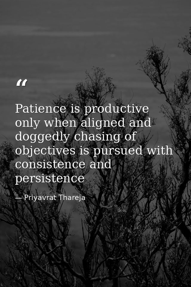 Patience is productive only when aligned and doggedly chasing of objectives is pursued with consistence and persistence — Priyavrat Thareja