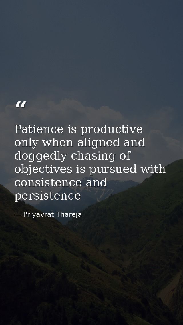 Patience is productive only when aligned and doggedly chasing of objectives is pursued with consistence and persistence — Priyavrat Thareja