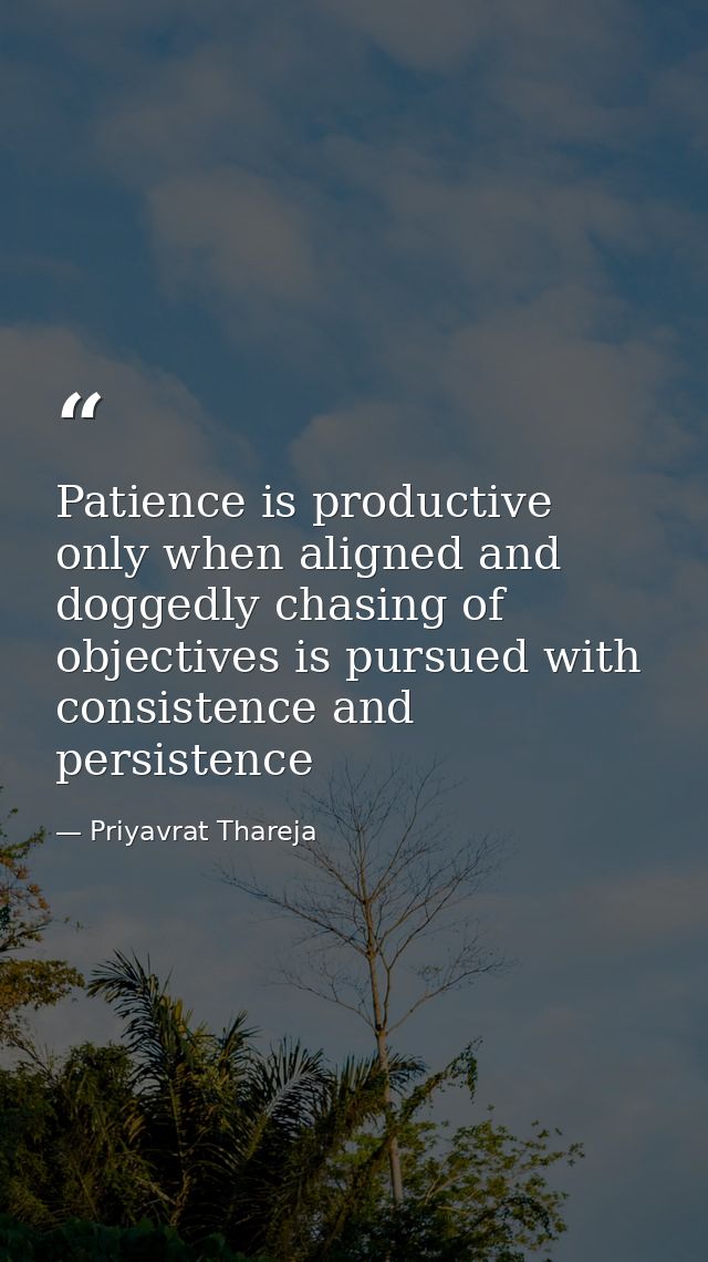 Patience is productive only when aligned and doggedly chasing of objectives is pursued with consistence and persistence — Priyavrat Thareja