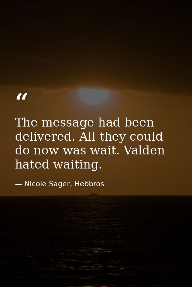 The message had been delivered. All they could do now was wait. Valden hated waiting. — Nicole Sager, Hebbros