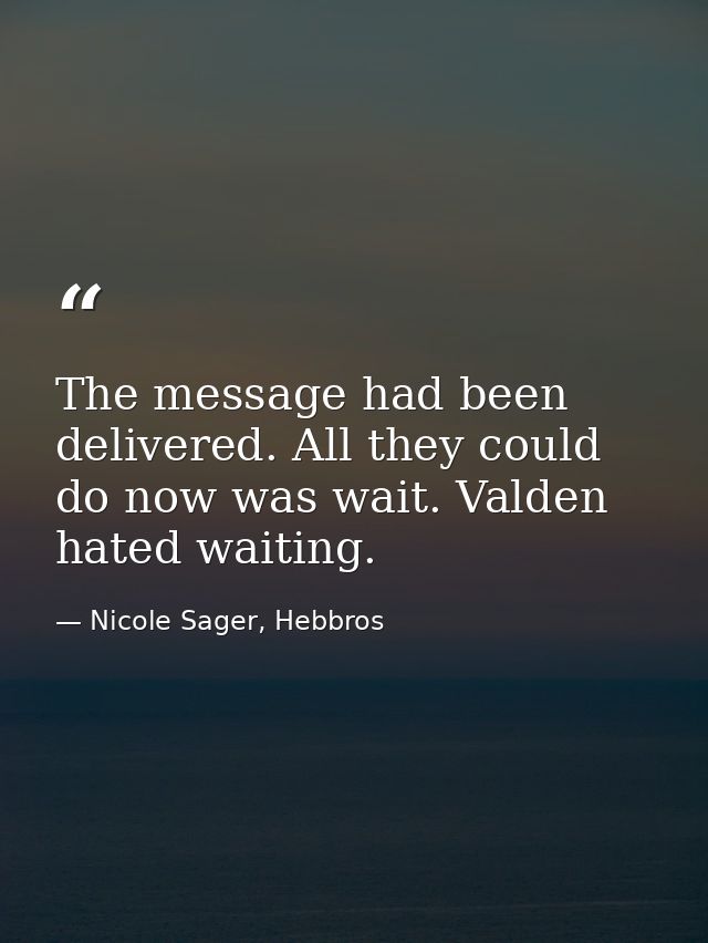 The message had been delivered. All they could do now was wait. Valden hated waiting. — Nicole Sager, Hebbros