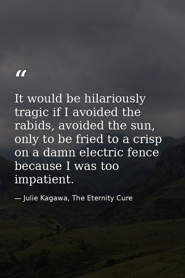 It would be hilariously tragic if I avoided the rabids, avoided the sun, only to be fried to a crisp on a damn electric  — Julie Kagawa, The Eternity Cure