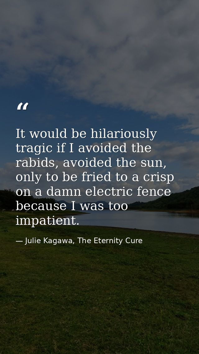 It would be hilariously tragic if I avoided the rabids, avoided the sun, only to be fried to a crisp on a damn electric  — Julie Kagawa, The Eternity Cure