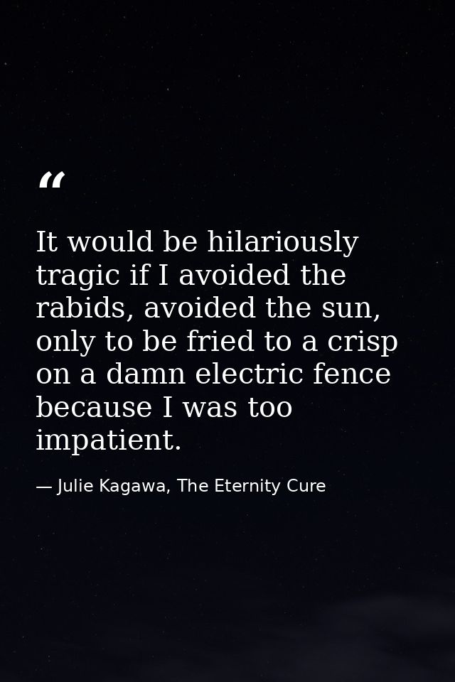 It would be hilariously tragic if I avoided the rabids, avoided the sun, only to be fried to a crisp on a damn electric  — Julie Kagawa, The Eternity Cure