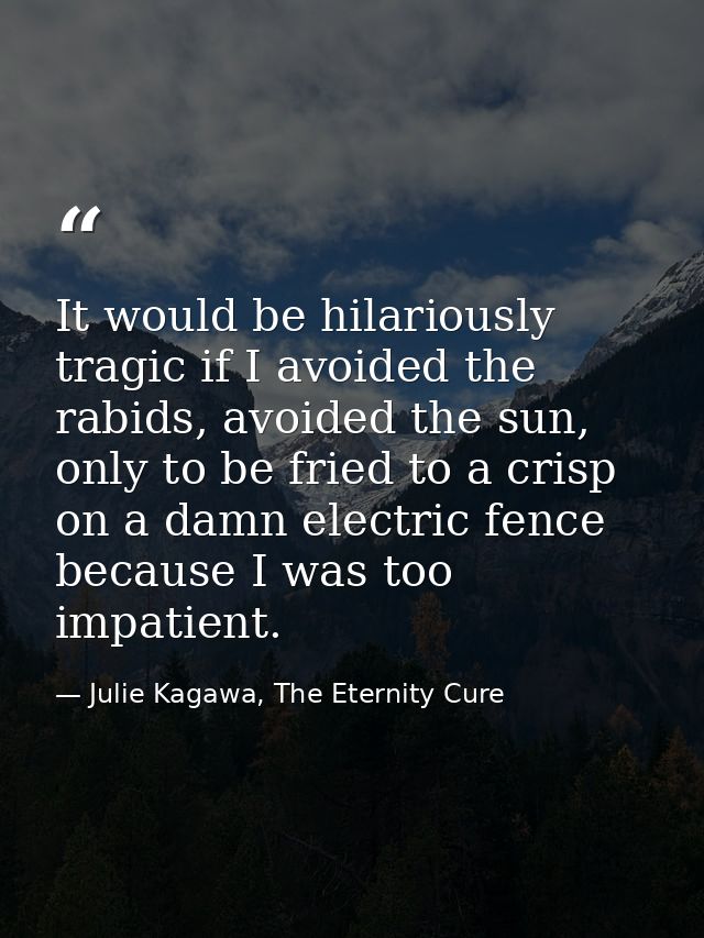 It would be hilariously tragic if I avoided the rabids, avoided the sun, only to be fried to a crisp on a damn electric  — Julie Kagawa, The Eternity Cure