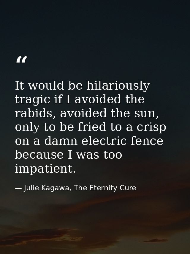 It would be hilariously tragic if I avoided the rabids, avoided the sun, only to be fried to a crisp on a damn electric  — Julie Kagawa, The Eternity Cure