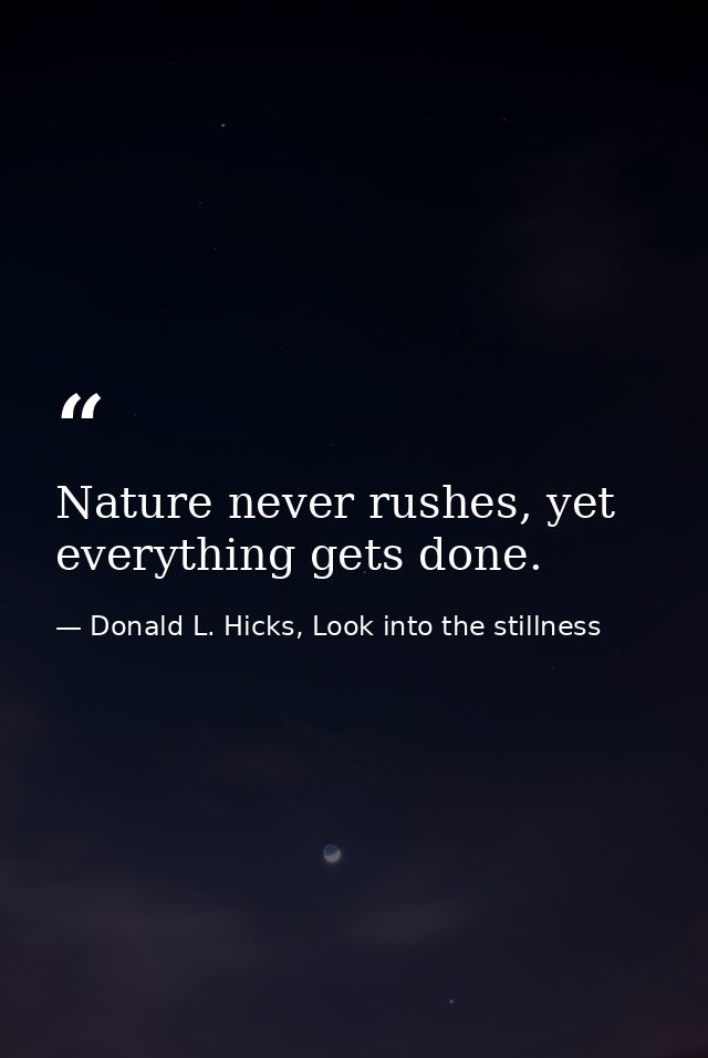 Nature never rushes, yet everything gets done. — Donald L. Hicks, Look into the stillness