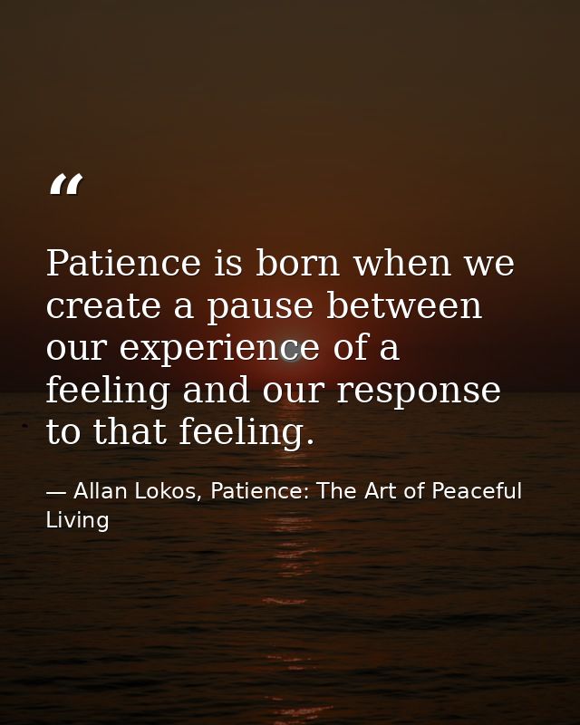 Patience is born when we create a pause between our experience of a feeling and our response to that feeling. — Allan Lokos, Patience: The Art of Peaceful Living