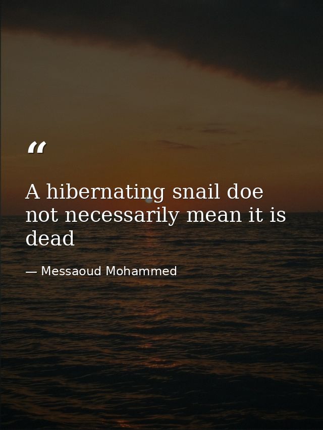 A hibernating snail doe not necessarily mean it is dead — Messaoud Mohammed