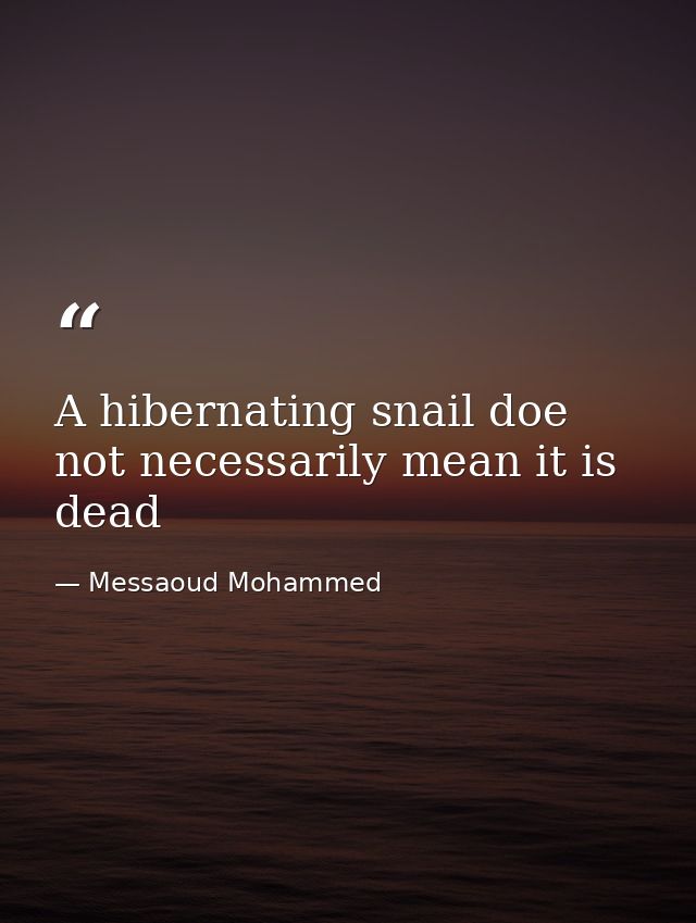 A hibernating snail doe not necessarily mean it is dead — Messaoud Mohammed