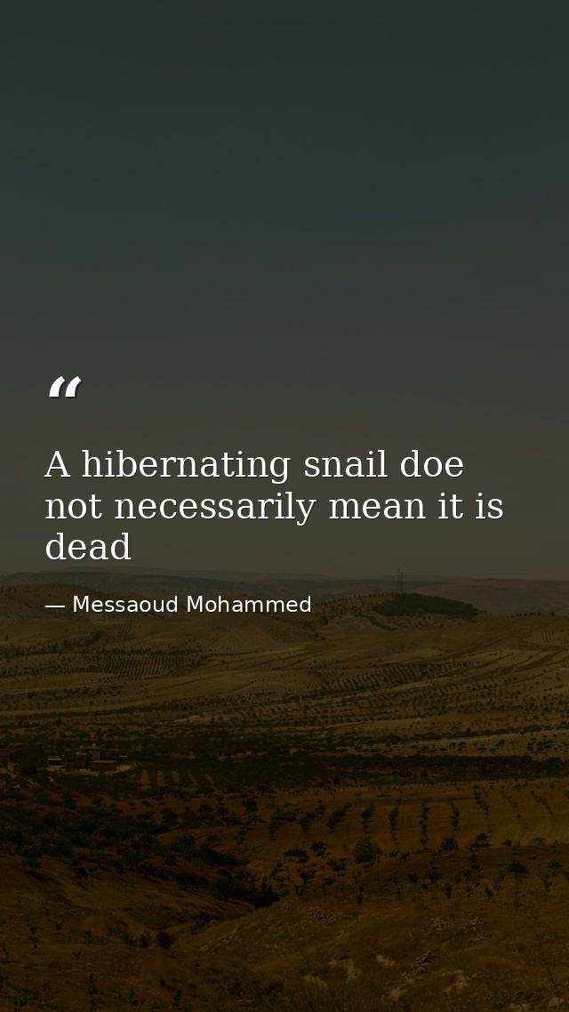 A hibernating snail doe not necessarily mean it is dead — Messaoud Mohammed