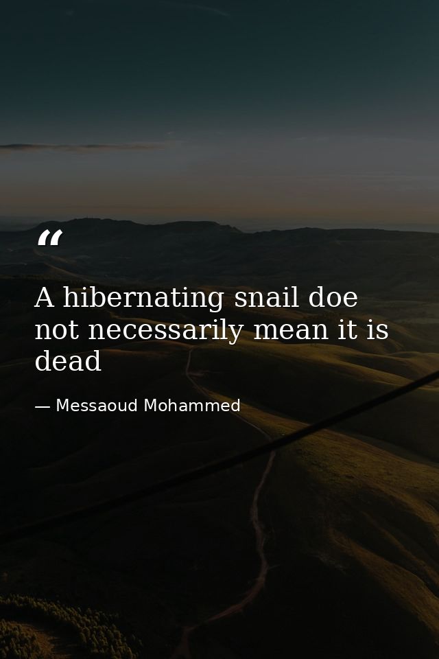 A hibernating snail doe not necessarily mean it is dead — Messaoud Mohammed