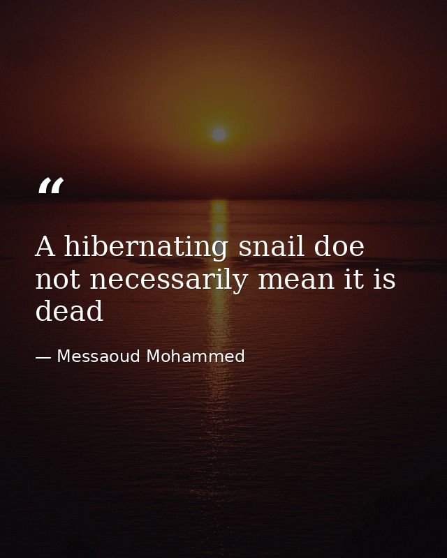 A hibernating snail doe not necessarily mean it is dead — Messaoud Mohammed