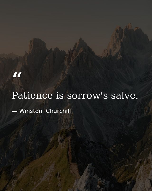 Patience is sorrow's salve. — Winston  Churchill