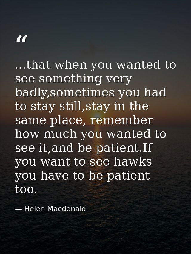 ...that when you wanted to see something very badly,sometimes you had to stay still,stay in the same place, remember how — Helen Macdonald