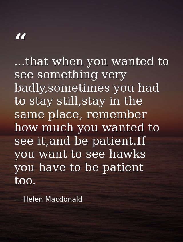 ...that when you wanted to see something very badly,sometimes you had to stay still,stay in the same place, remember how — Helen Macdonald