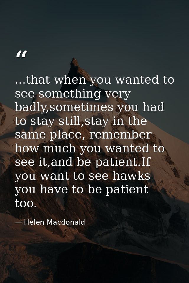 ...that when you wanted to see something very badly,sometimes you had to stay still,stay in the same place, remember how — Helen Macdonald