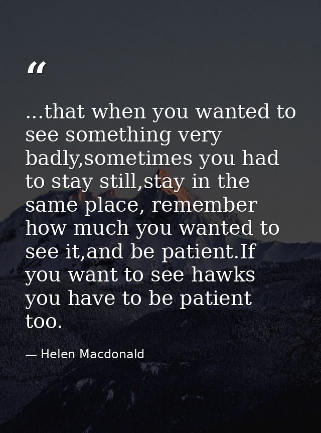 ...that when you wanted to see something very badly,sometimes you had to stay still,stay in the same place, remember how — Helen Macdonald