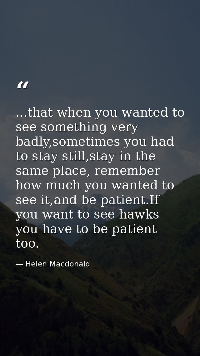 ...that when you wanted to see something very badly,sometimes you had to stay still,stay in the same place, remember how — Helen Macdonald