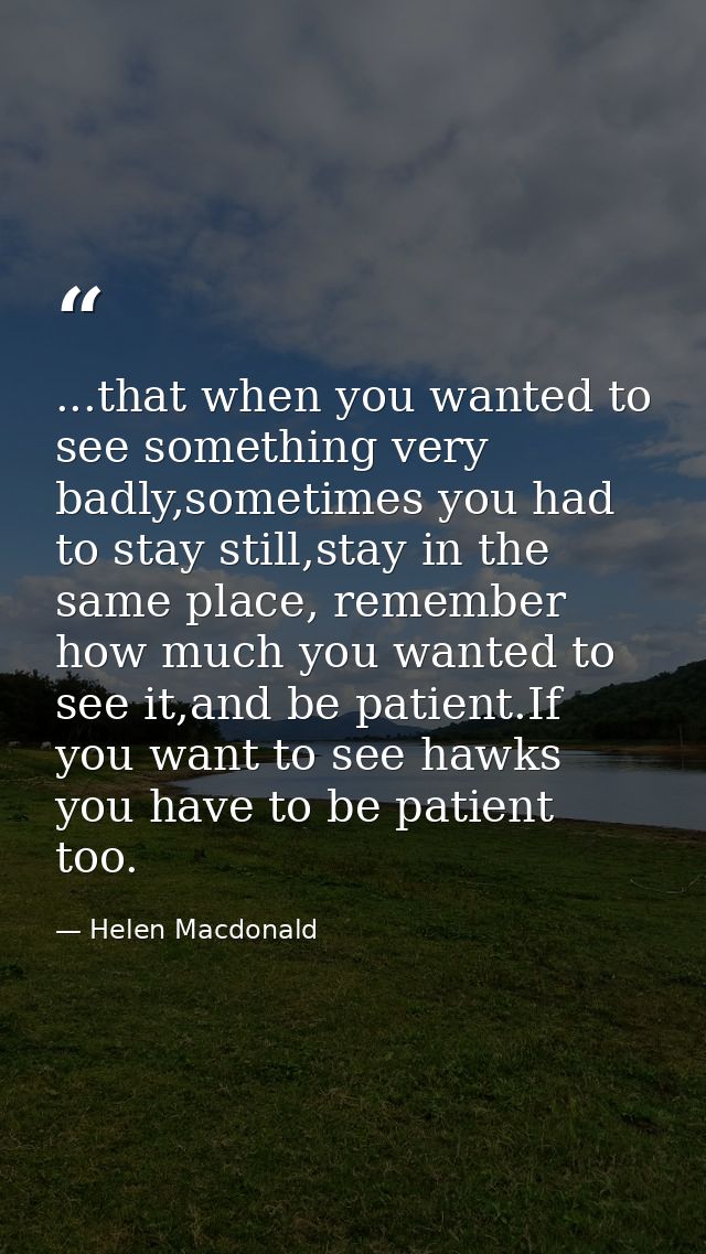 ...that when you wanted to see something very badly,sometimes you had to stay still,stay in the same place, remember how — Helen Macdonald