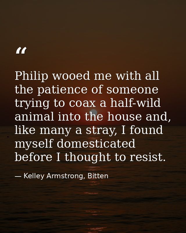 Philip wooed me with all the patience of someone trying to coax a half-wild animal into the house and, like many a stray — Kelley Armstrong, Bitten