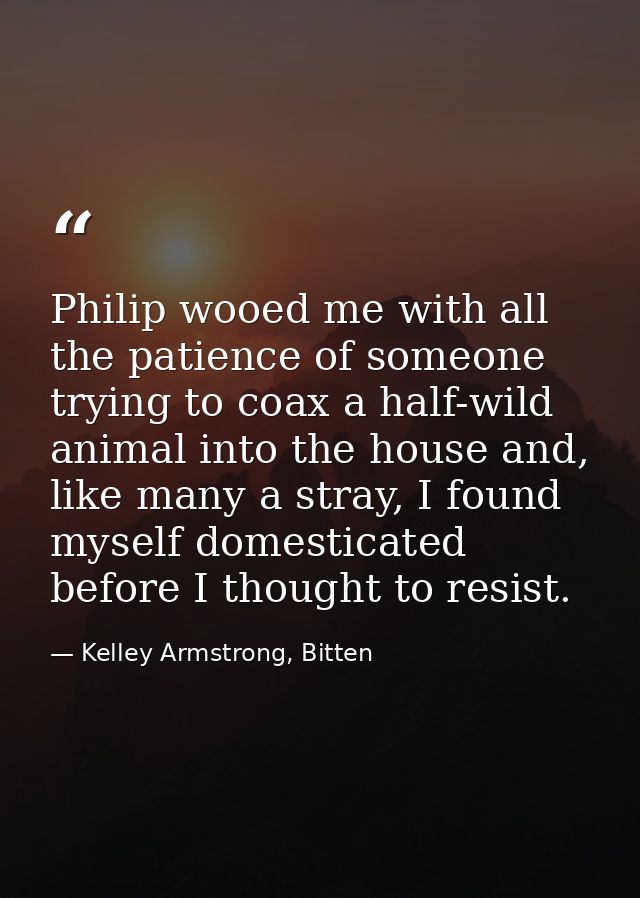 Philip wooed me with all the patience of someone trying to coax a half-wild animal into the house and, like many a stray — Kelley Armstrong, Bitten