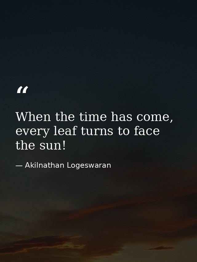 When the time has come, every leaf turns to face the sun! — Akilnathan Logeswaran