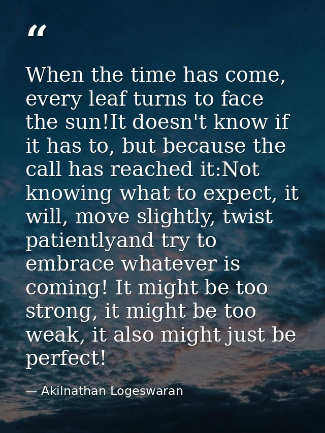 When the time has come, every leaf turns to face the sun!It doesn't know if it has to, but because the call has reached  — Akilnathan Logeswaran