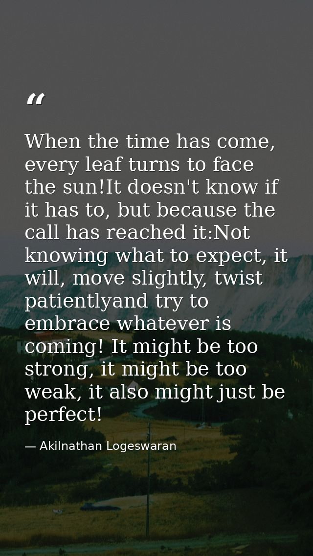 When the time has come, every leaf turns to face the sun!It doesn't know if it has to, but because the call has reached  — Akilnathan Logeswaran