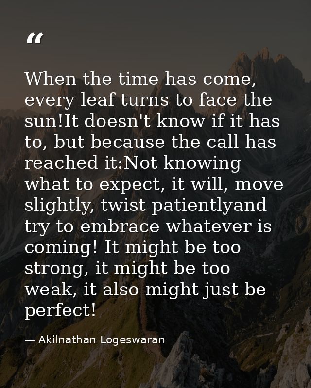 When the time has come, every leaf turns to face the sun!It doesn't know if it has to, but because the call has reached  — Akilnathan Logeswaran