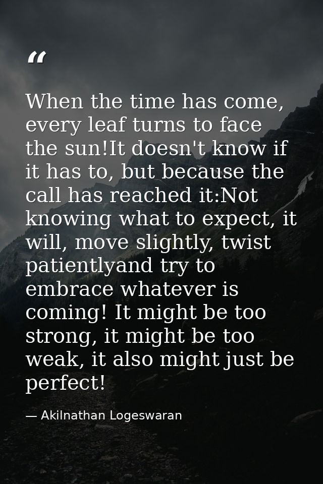 When the time has come, every leaf turns to face the sun!It doesn't know if it has to, but because the call has reached  — Akilnathan Logeswaran