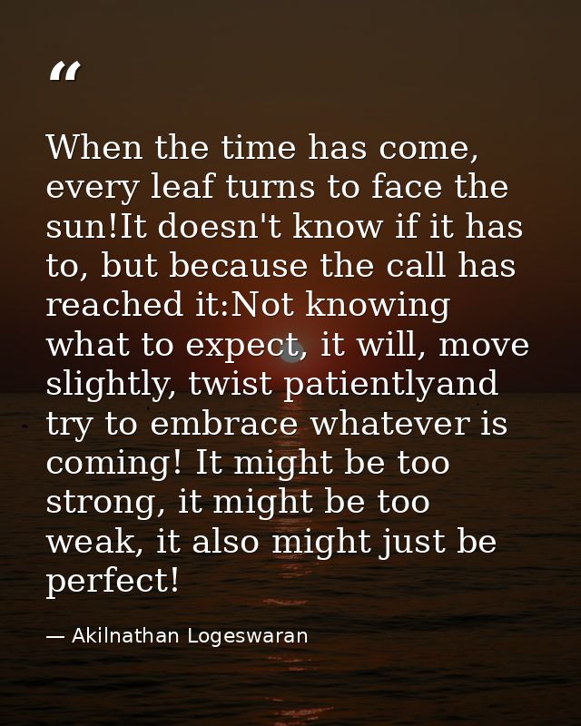 When the time has come, every leaf turns to face the sun!It doesn't know if it has to, but because the call has reached  — Akilnathan Logeswaran