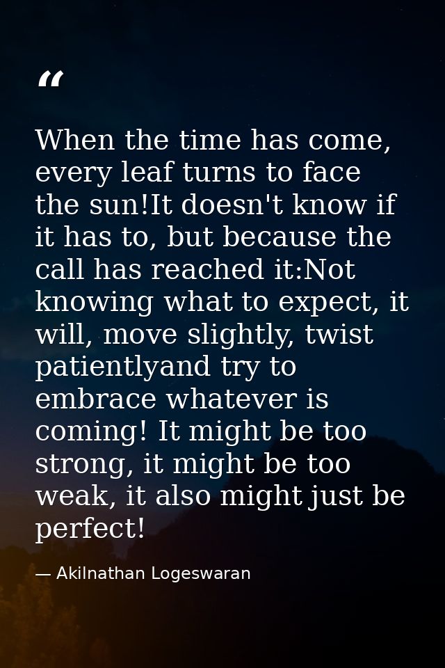 When the time has come, every leaf turns to face the sun!It doesn't know if it has to, but because the call has reached  — Akilnathan Logeswaran