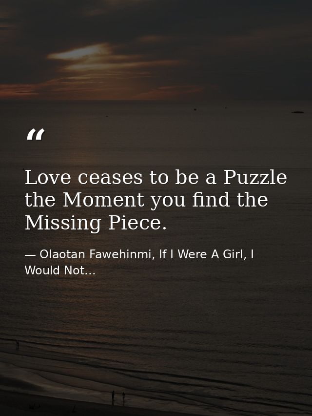 Love ceases to be a Puzzle the Moment you find the Missing Piece. — Olaotan Fawehinmi, If I Were A Girl, I Would Not...
