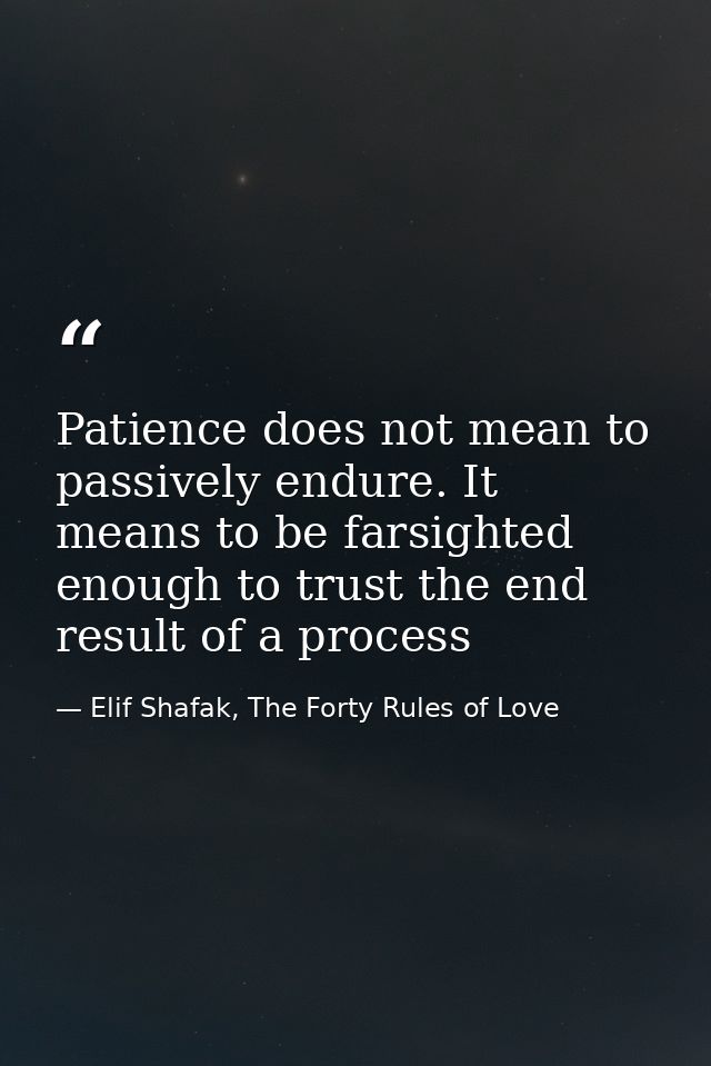 Patience does not mean to passively endure. It means to be farsighted enough to trust the end result of a process — Elif Shafak, The Forty Rules of Love