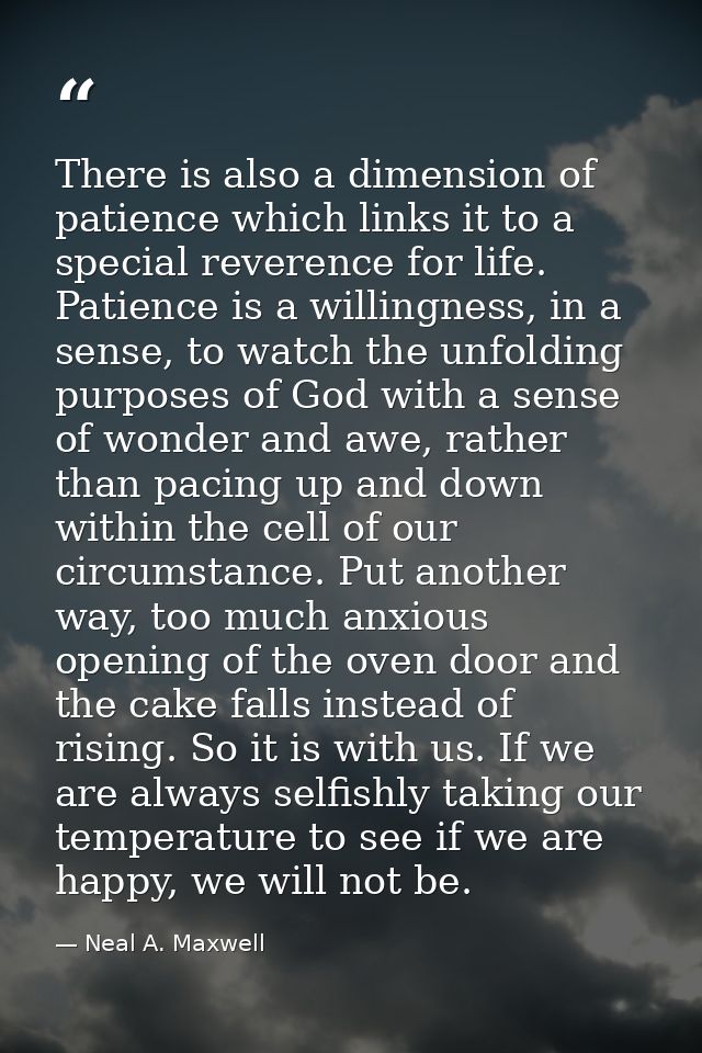 There is also a dimension of patience which links it to a special reverence for life. Patience is a willingness, in a se — Neal A. Maxwell