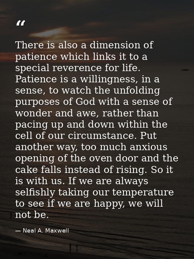 There is also a dimension of patience which links it to a special reverence for life. Patience is a willingness, in a se — Neal A. Maxwell