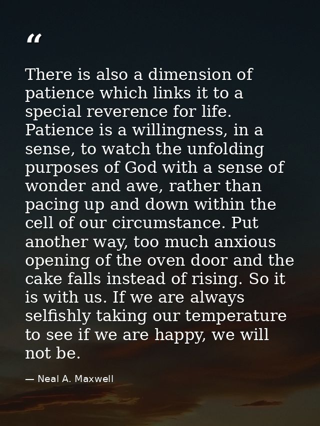 There is also a dimension of patience which links it to a special reverence for life. Patience is a willingness, in a se — Neal A. Maxwell