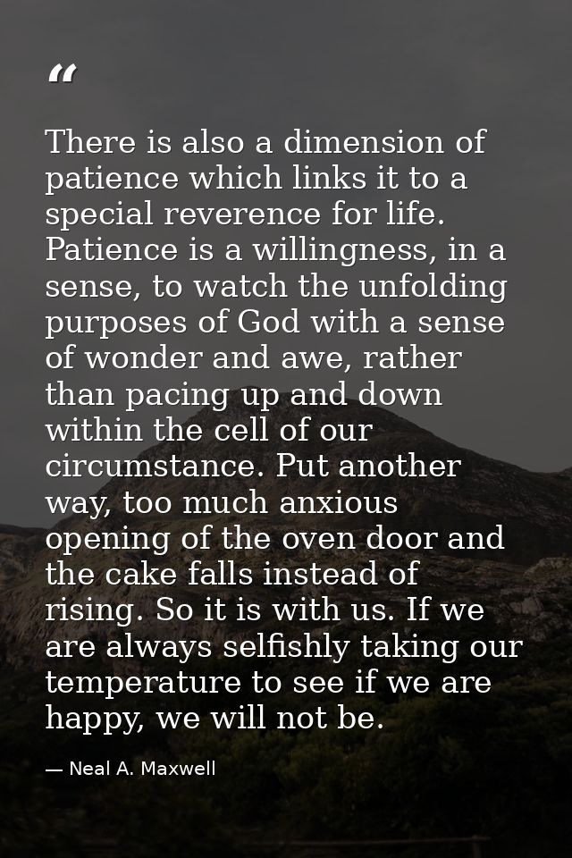 There is also a dimension of patience which links it to a special reverence for life. Patience is a willingness, in a se — Neal A. Maxwell