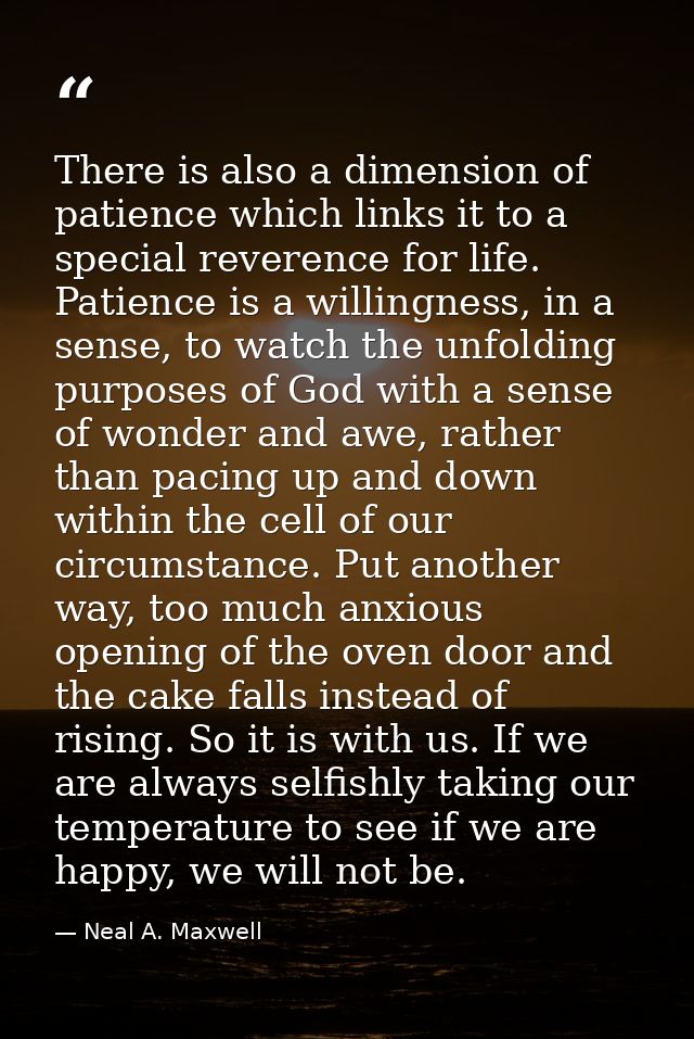 There is also a dimension of patience which links it to a special reverence for life. Patience is a willingness, in a se — Neal A. Maxwell
