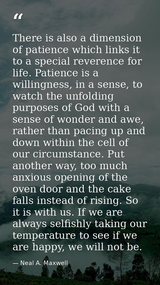 There is also a dimension of patience which links it to a special reverence for life. Patience is a willingness, in a se — Neal A. Maxwell