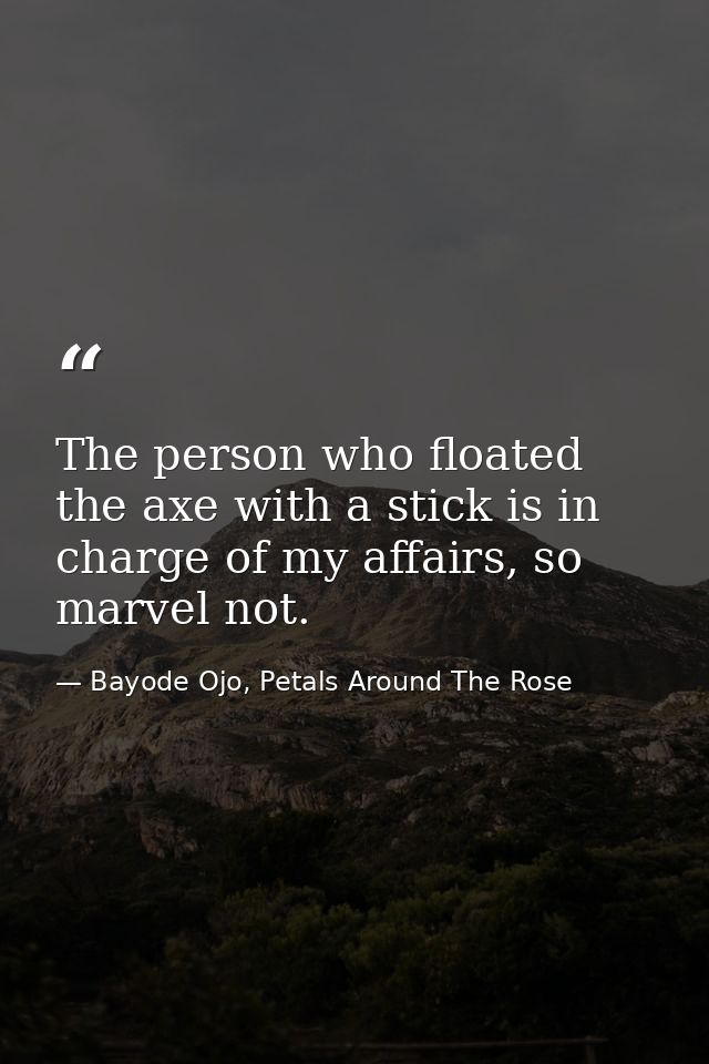The person who floated the axe with a stick is in charge of my affairs, so marvel not. — Bayode Ojo, Petals Around The Rose