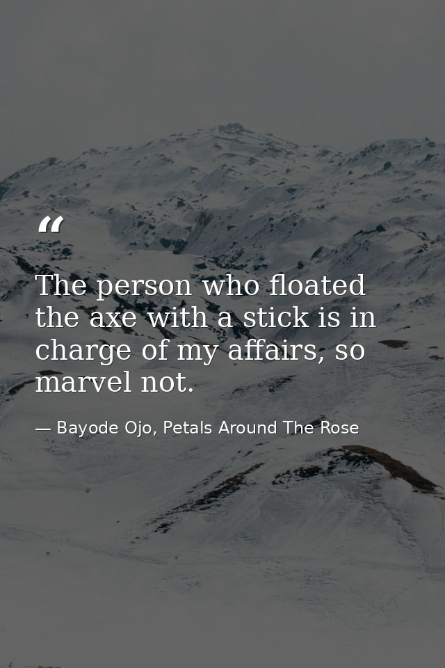 The person who floated the axe with a stick is in charge of my affairs, so marvel not. — Bayode Ojo, Petals Around The Rose