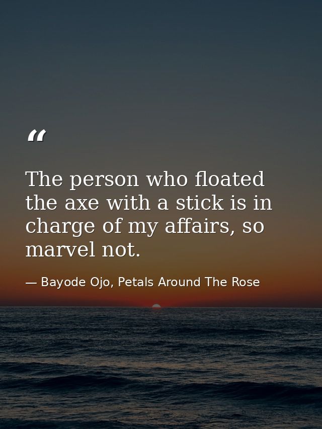 The person who floated the axe with a stick is in charge of my affairs, so marvel not. — Bayode Ojo, Petals Around The Rose